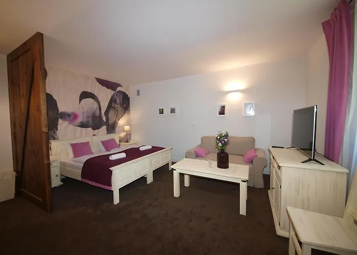 招待所 Pensjonat Pola 3*